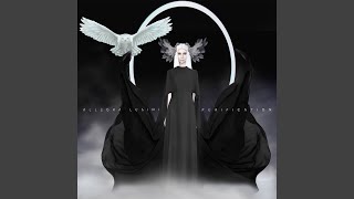 Famous Purification Wealth