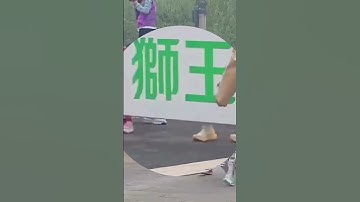 How High-Performance Lubricants Like XiaoYiChong Power the Future of Robotics