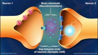Understanding the chemistry of the brain