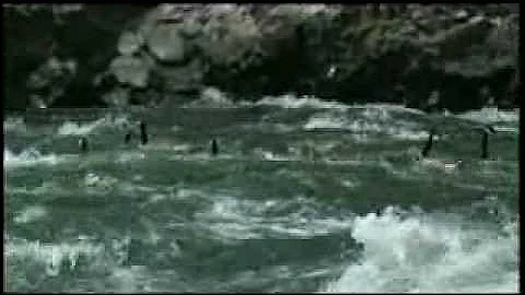 Outdoor Storytellers: Geese Run Rapids - DayDayNews