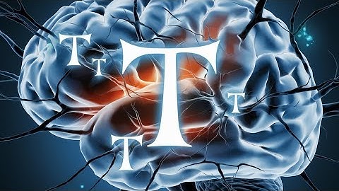 World’s Best AI Projects on $TAO  Ridges, Chutes, Targon, BitMind, Zeus, and Gradients Deep Dive 🔎