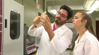 GNC Faculty/Student Research Institute: Delbert Abi Abdallah, Ph.D.