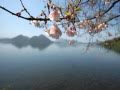 おんな洞爺湖ひとり旅/秋山涼子/カバーmanatan