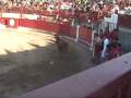 05 VI Concurso de Recortadores con vacas de Casta Navarra