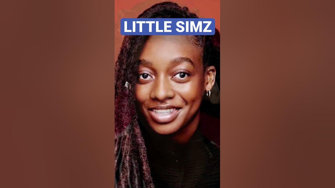 🚀 LITTLE SIMZ 🚀