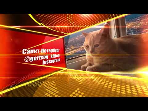 Инстаграм страничка-2