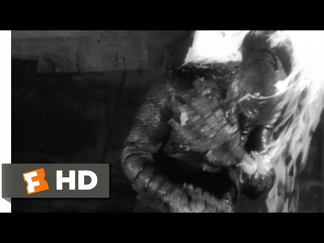 Watch film Creature from the Black Lagoon | The Creature Escapes (6/10)