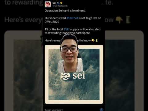 AIRDROP SEI NETWORK !!!