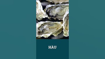 4 Món Hải Sản Người Bị Tiểu Đường Nên Ăn #dsdaiminh #dsngocminh #shorts #health