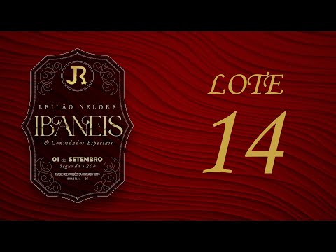 LOTE 14    IRBJ 400