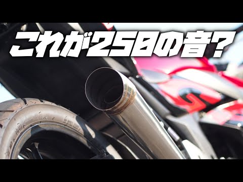 GSX250R - Celebrating one year! I secretly replaced it with