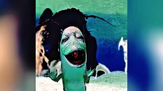 Plankton Gemendo Meme 4K