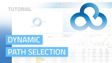 LMC Tutorial | Dynamic Path Selection – Functionality and configuration