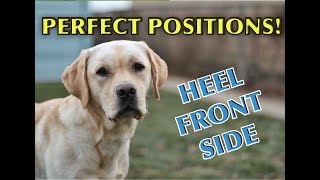 How To Train POSITIONS Perfectly! (Dog Training Tutorial!) by Training Positive 18,279 views 4 years ago 7 minutes, 37 seconds