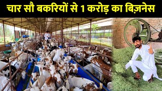 24 के उम्र में चार सौ बकरियों से 40 लाख का मुनाफा | bakri palan in hindi