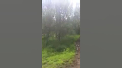 Small jump on carla, hacking!