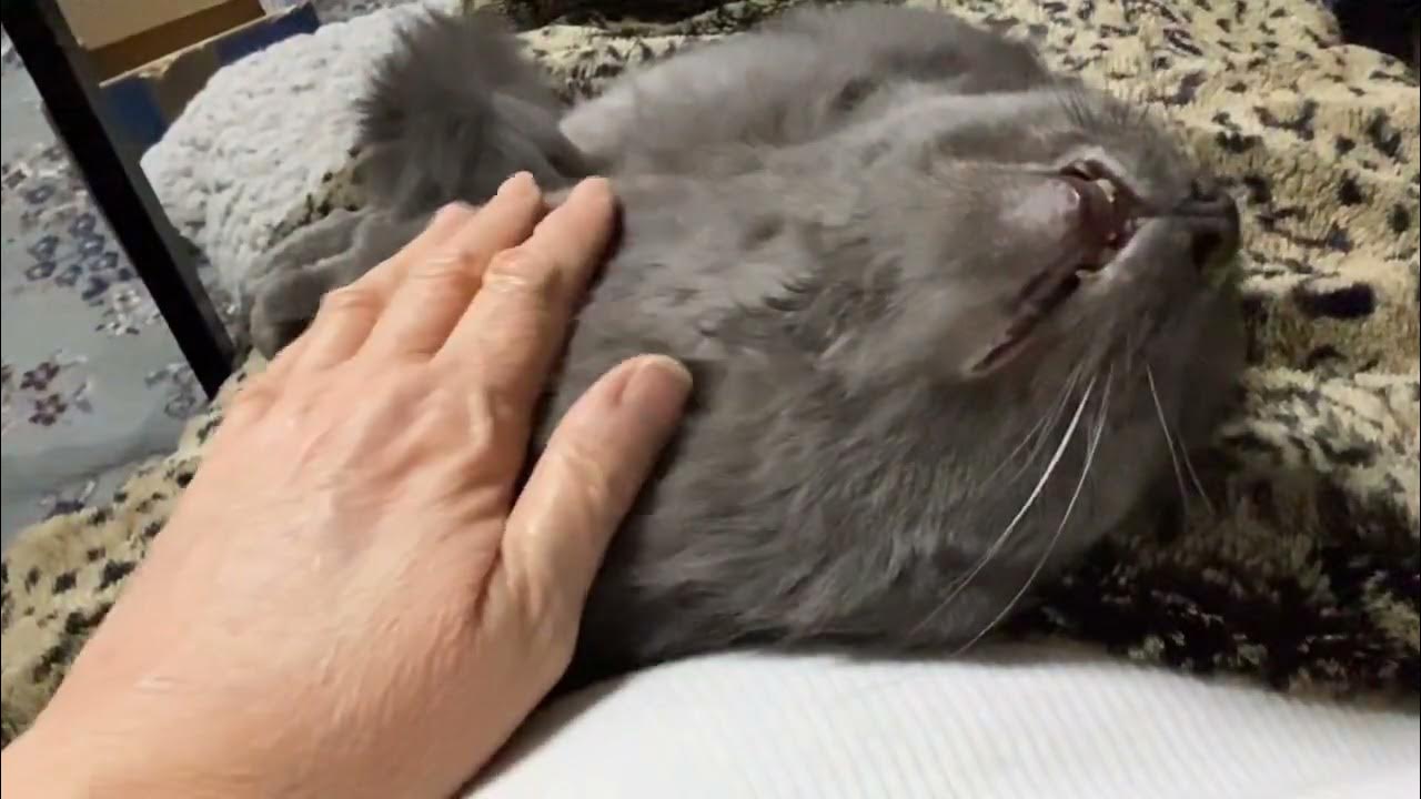 The neck rub YouTube