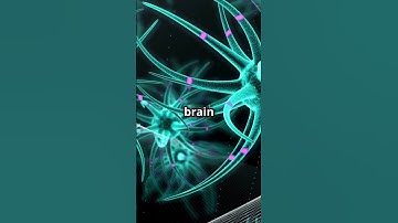 The Hidden Dangers of Protein Misfolding in Neurodegeneration