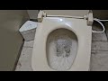 設備 内装 🚽 🚺 water closet サニタ 環境音 ASMR asmr Japanese toilet 2026年4月28日