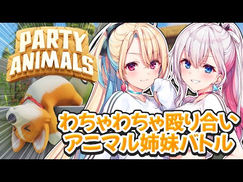 【【Party Animals（パーティーアニマルズ）】バチボコ殴り合い！？💥アニマル姉妹バトル🐶🐱【結目ユイ/水瀬しあ】