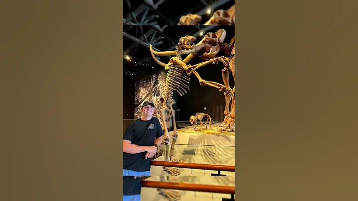 COOLEST DINOSAUR MUSEUM 🤯 #shorts #dinosaur - DayDayNews