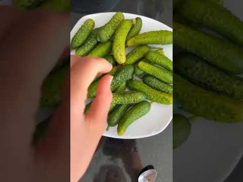 Рецепт от похмелья