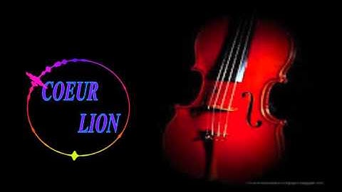 violin dubstep / audio spectrum / after effect cs4