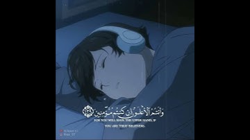 علاج الاكتئاب والضغط النفسي.!! قرآن كريم 😍