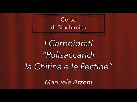 Video: Cos'è La Chitina?