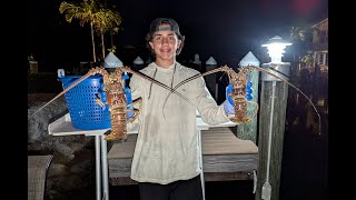 Bullynetting Lobster - Mini Season 2024