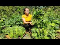 Harvest pumpkin vegetables goes to the market sell  daily life  ly thi tam