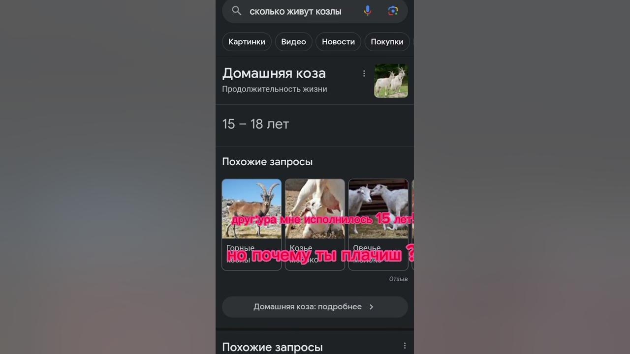 кто понел,тот понел! - YouTube