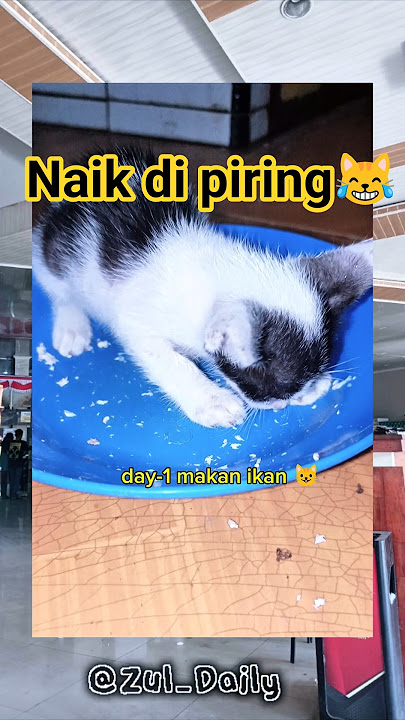 There's no manners, kid 😅