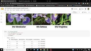 Iris Prediction using Unsupervised Machine Learning | Task-2 | Data Science and Business Analytics