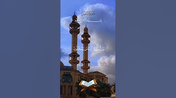 القارئ الشيخ احمد العجمي #القرآن_الكريم #سورة_النصر #تلاوة_خاشعة #لا_اله_الا_الله #محمدﷺ #ﷺ