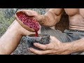 How to Make Delicious Primitive Pomegranate Juice