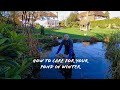 How to care for your pond in winter