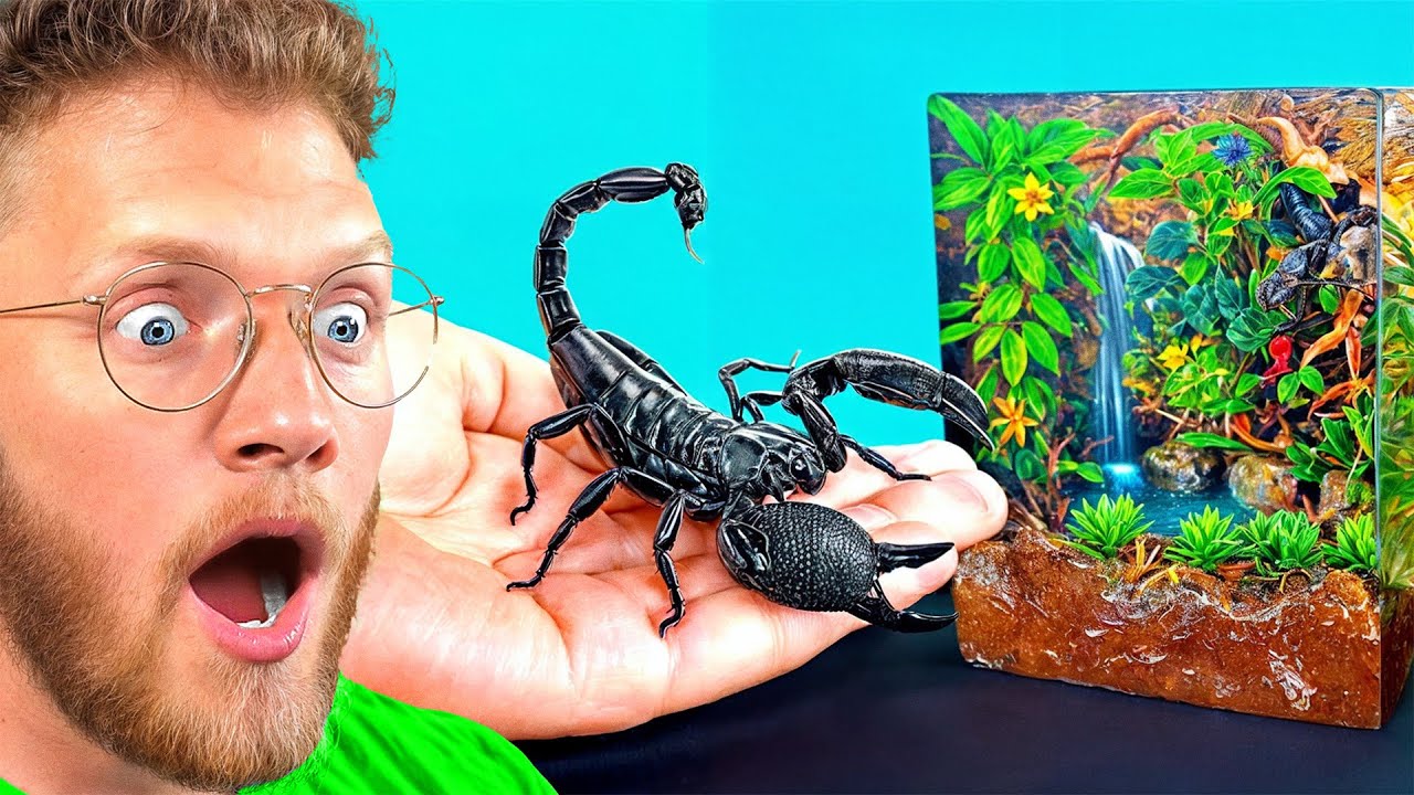 He BUILT HOMES For EXOTIC INSECTS!