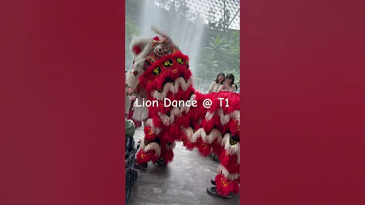 LionDance  #shorts #shortsfeed #shortsvideo #shortsyoutube #youtube #youtubeshorts #youtubers