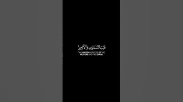 ما تيسر من سورة الحجرات | القرآن الكريم | القارئ ماهر المعيقلي | كروما