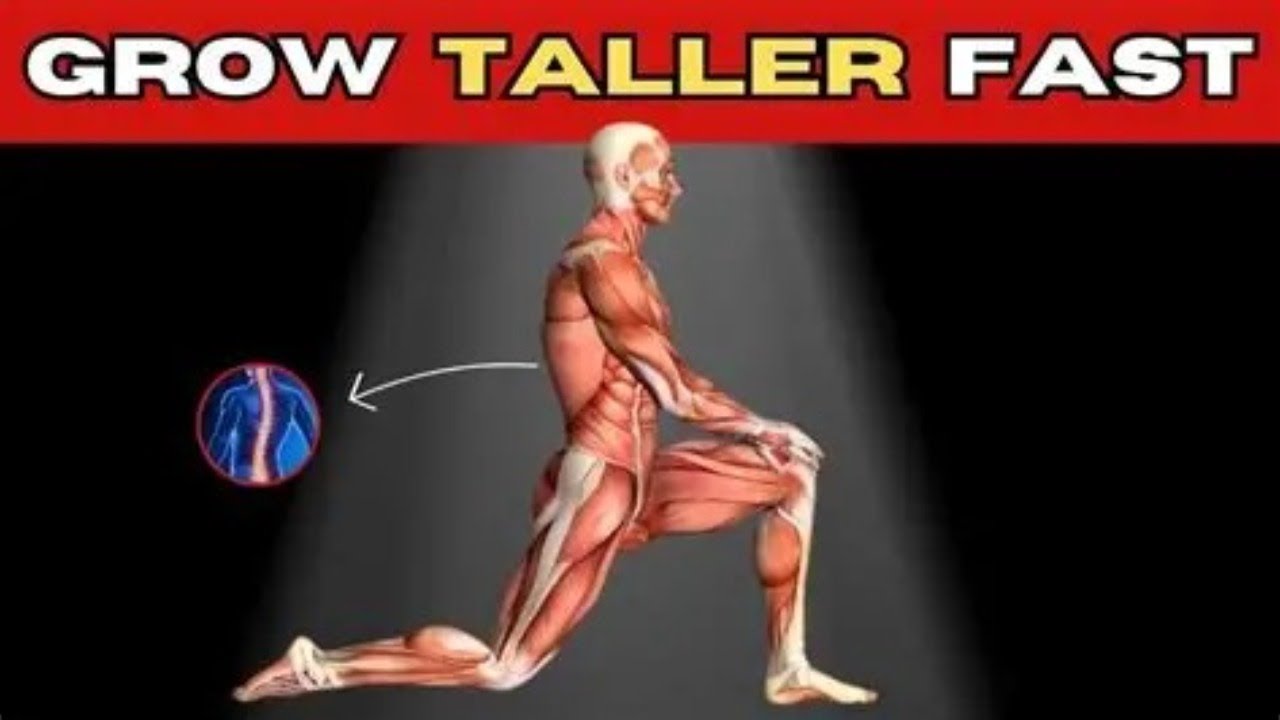 The Fastest Height Increase Method Revealed