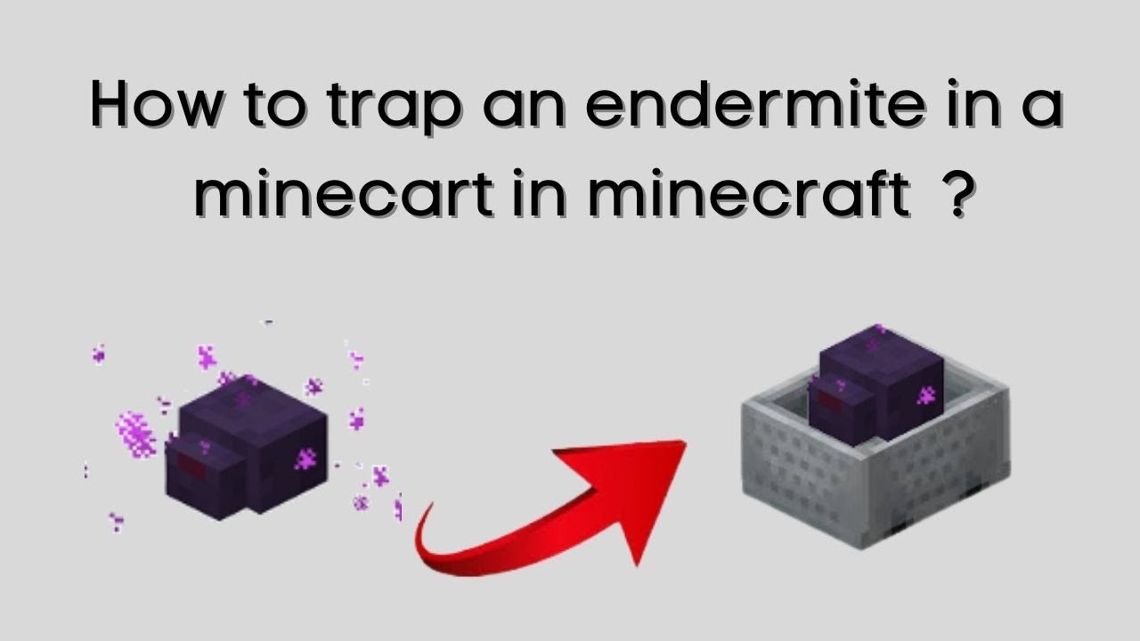 minecraft java edition - How do you trap an Endermite without