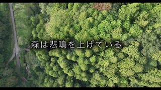 森は悲鳴を上げている。持続可能な森とは？／映画『サステナ・フォレスト 〜森の国の守り人（もりびと）たち〜』予告編