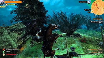 Matrix is everywhere