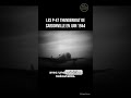 Les P-47 Thunderbolt de Cardonville en juin 1944