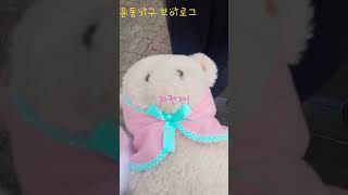 운동기구 타러온 아기들