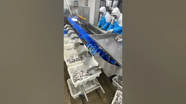 Xindesheng Automation Technology Fish Sorting Machine (XDS-800G-A)#sorting #machine#fruit#fish#food