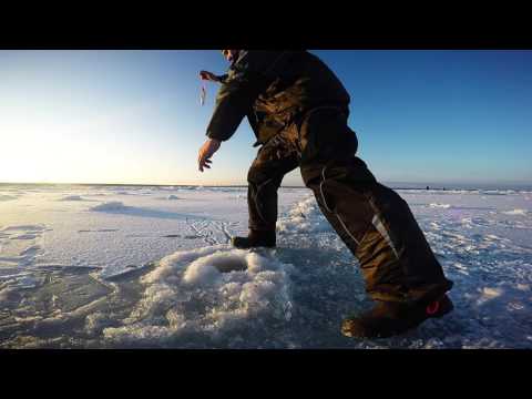 Видео: Ловля корюшки на Финском Заливе 2017 Дамба Море ЮДФЗ
