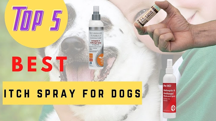 Veterinary formula clinical care hot spot & itch relief reviews