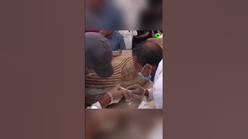 Xác ướp ai cập